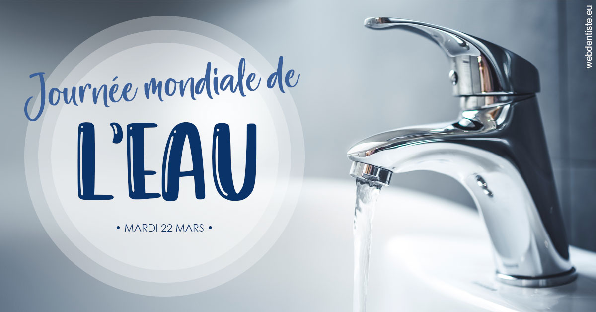 https://www.docteurfournier.fr/La journée de l'eau 2