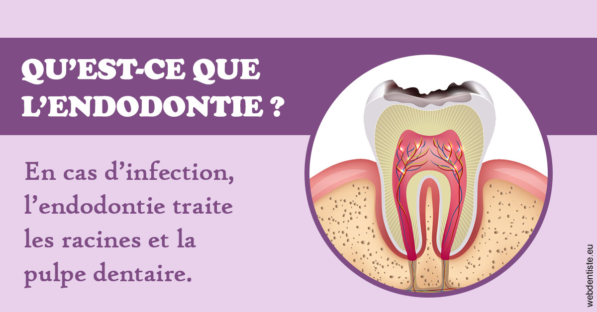 https://www.docteurfournier.fr/2024 T1 - Endodontie 02