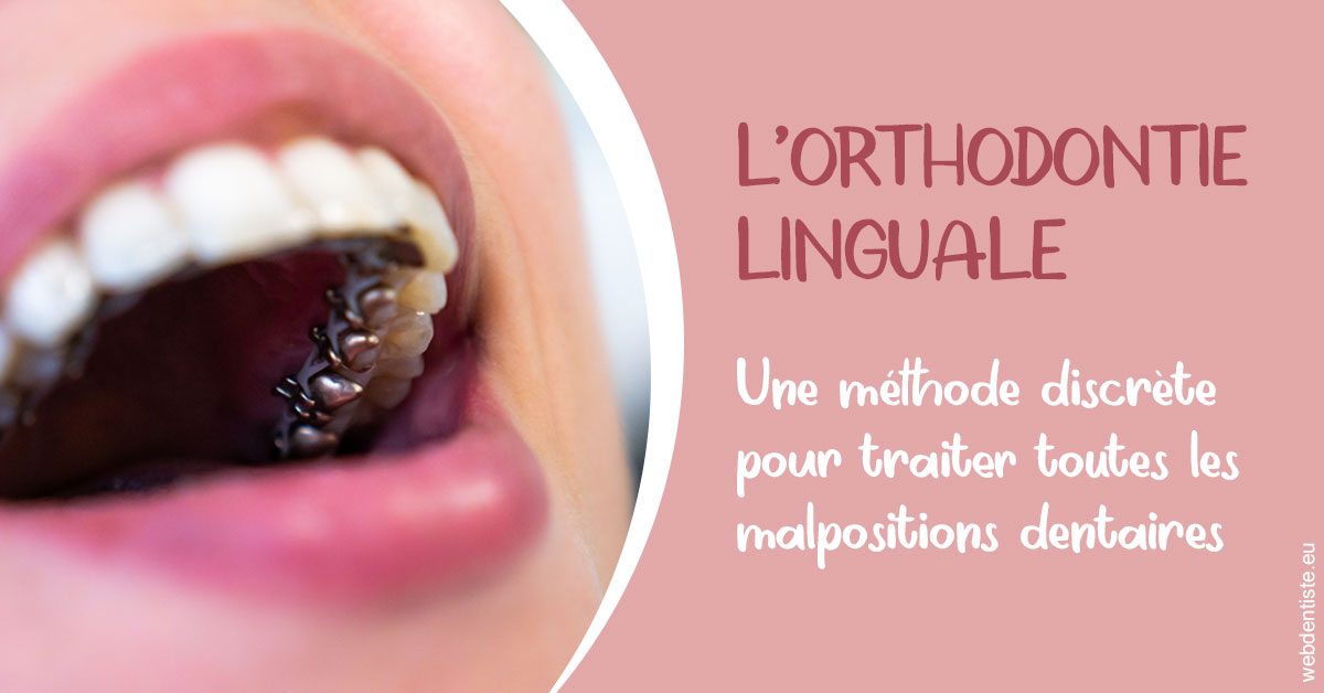 https://www.docteurfournier.fr/L'orthodontie linguale 2