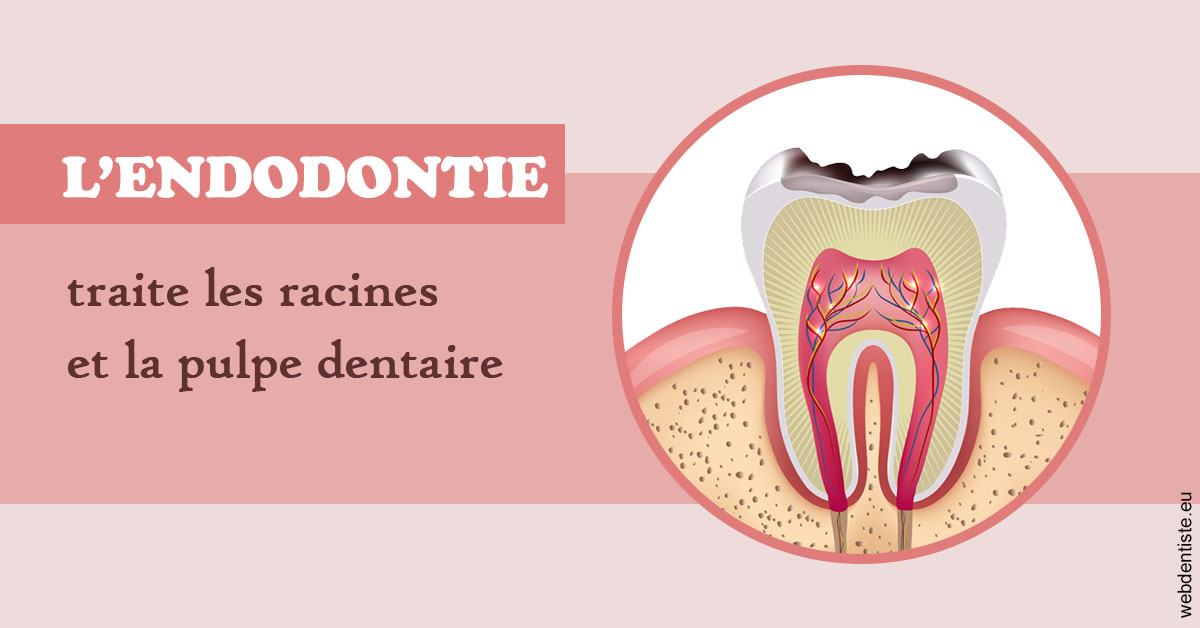 https://www.docteurfournier.fr/L'endodontie 2