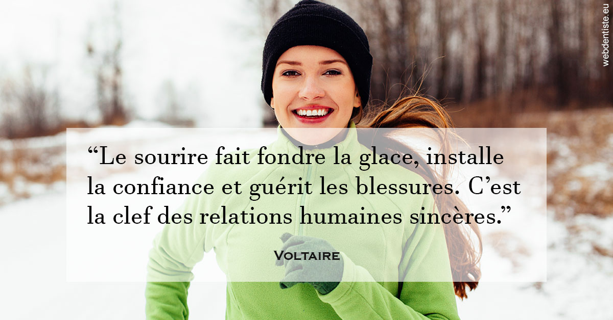 https://www.docteurfournier.fr/Voltaire 2