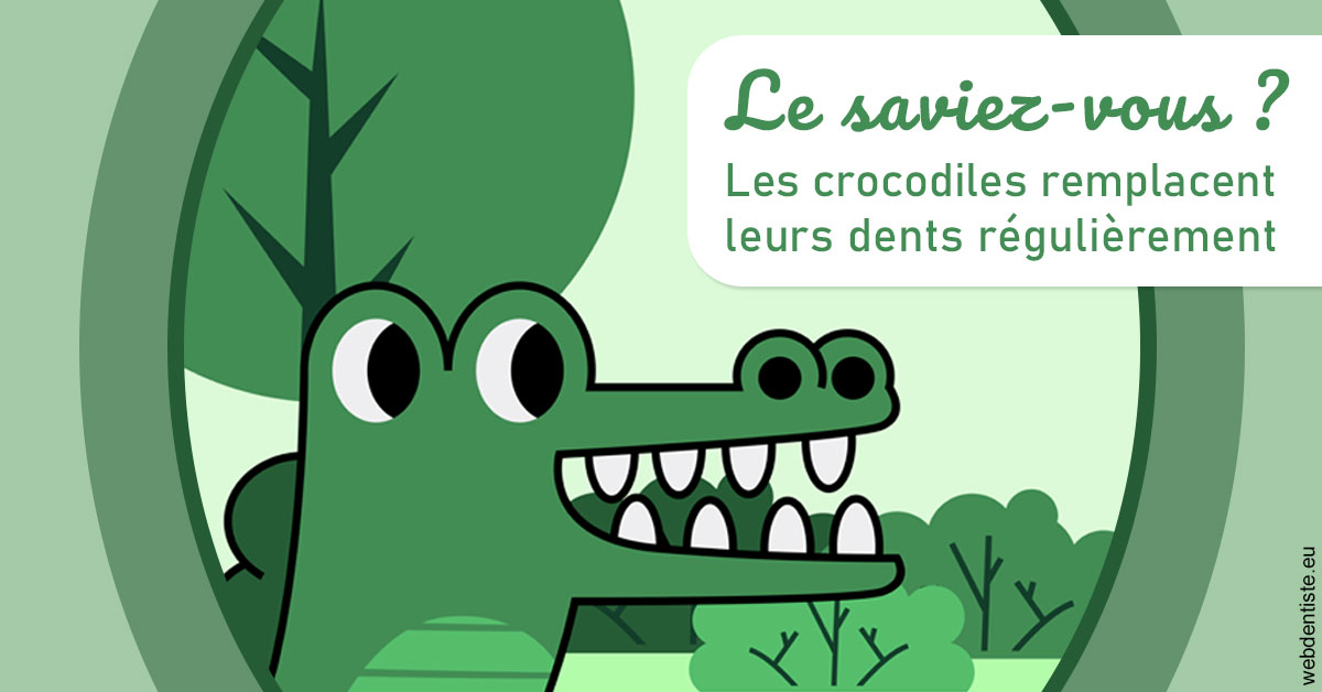 https://www.docteurfournier.fr/Crocodiles 2