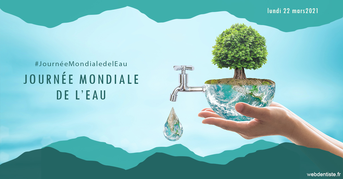 https://www.docteurfournier.fr/Journée de l'eau 1