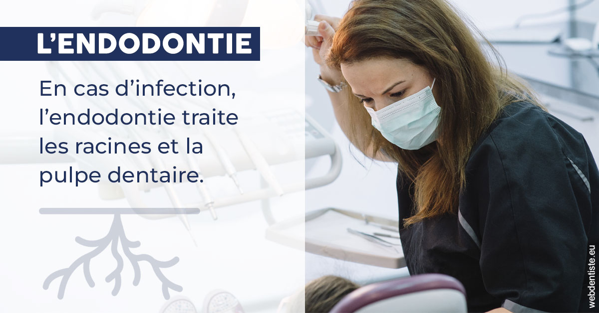 https://www.docteurfournier.fr/L'endodontie 1