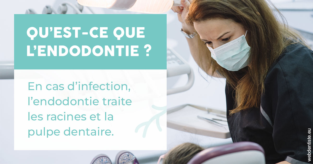 https://www.docteurfournier.fr/2024 T1 - Endodontie 01