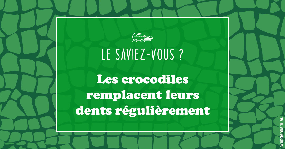https://www.docteurfournier.fr/Crocodiles 1